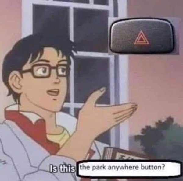 park anywhere button - Is this the park anywhere button?