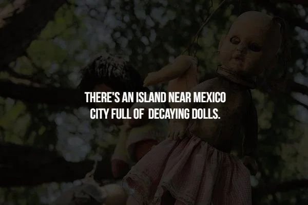 human - There'S An Island Near Mexico City Full Of Decaying Dolls.