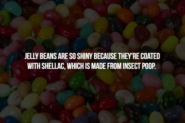 jelly bean - Jelly Beans Are So Shiny Because They'Re Coated With Shellac, Which Is Made From Insect Poop.