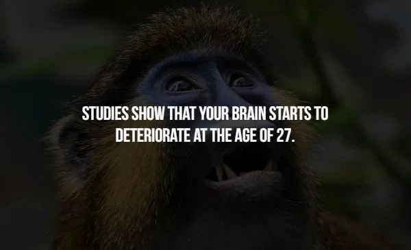 state within - Studies Show That Your Brain Starts To Deteriorate At The Age Of 27.