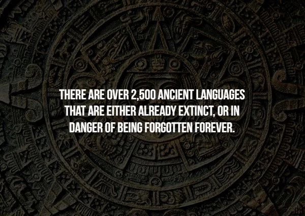 archaeological site - There Are Over 2,500 Ancient Languages That Are Either Already Extinct, Or In Danger Of Being Forgotten Forever. Ng Go