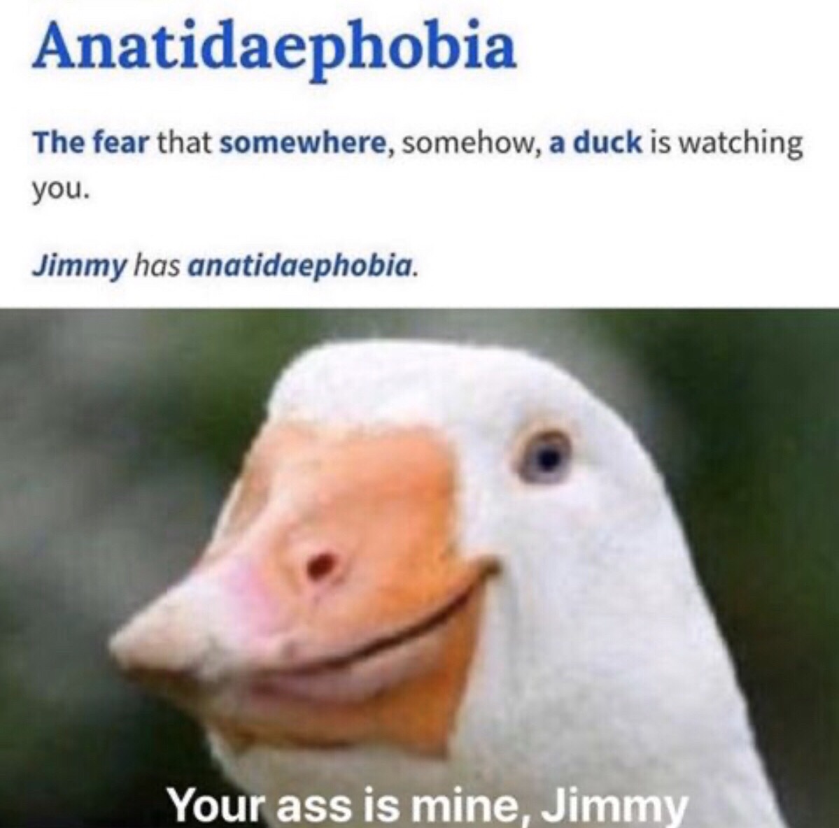 beak - Anatidaephobia The fear that somewhere, somehow, a duck is watching you. Jimmy has anatidaephobia. Your ass is mine, Jimmy