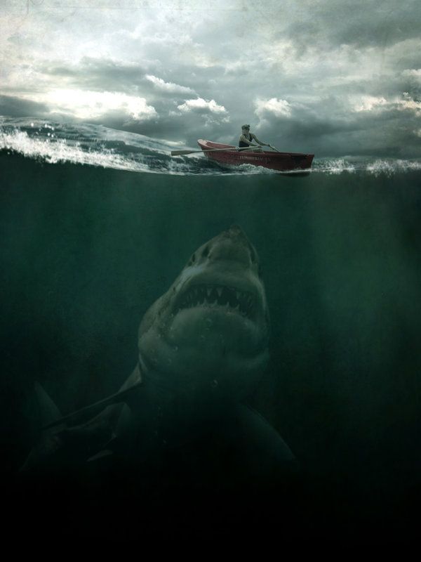 scary shark art