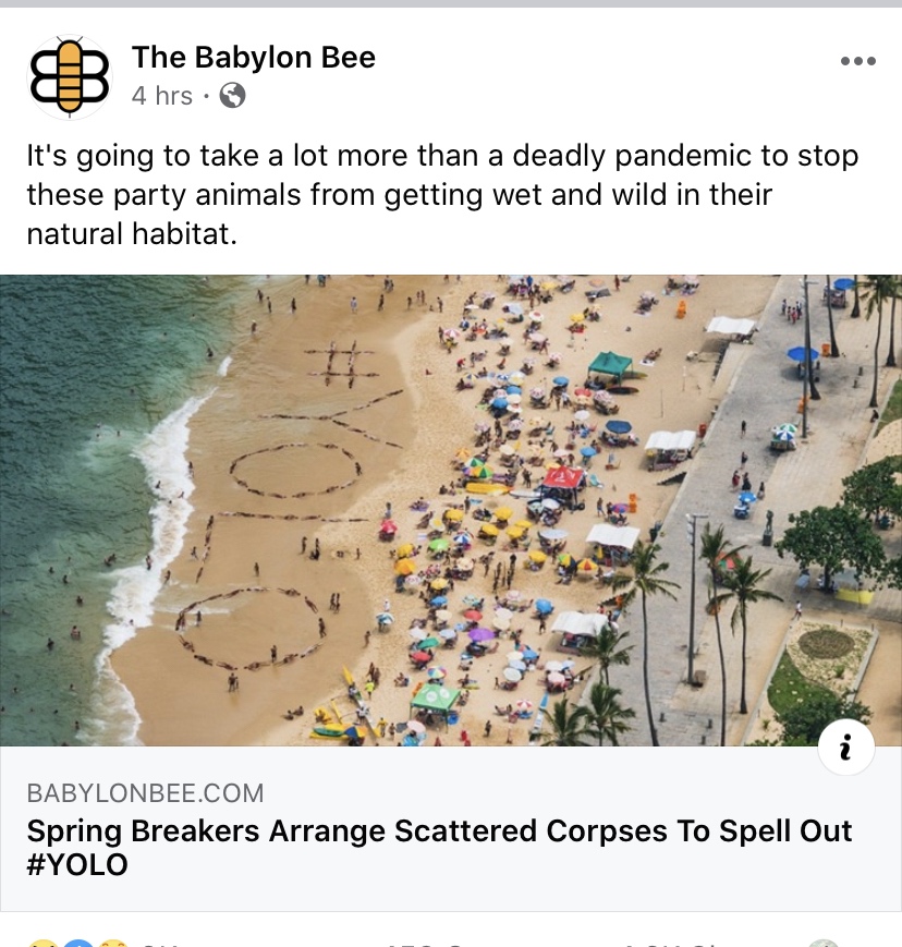 map - Sr The Babylon Bee Ahrs. It's going to take a lot more than a deadly pandemic to stop these party animals from getting wet and wild in their natural habitat. Babylonbee.Com Spring Breakers Arrange Scattered Corpses To Spell Out