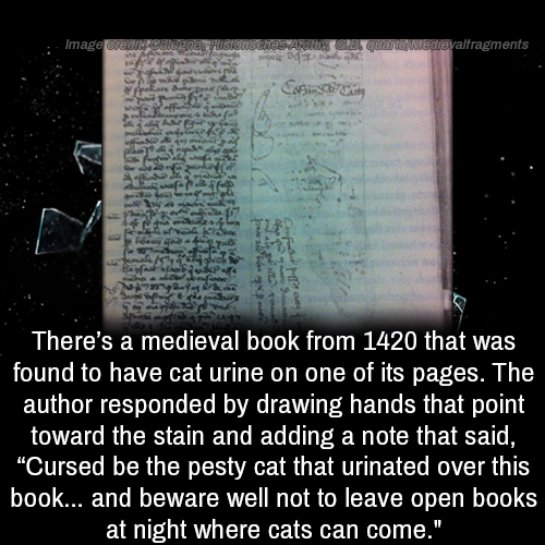 document - Image Credit Sousches Gib quarto wedievaltragments Coins May There's a medieval book from 1420 that was found to have cat urine on one of its pages. The author responded by drawing hands that point toward the stain and adding a note that said, 
