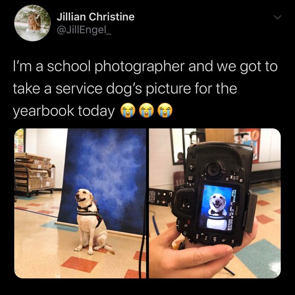 Yearbook - Jillian Christine 'I'm a school photographer and we got to take a service dog's picture for the yearbook today 06
