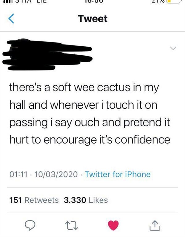 screenshot - allSTIA Lie 10.50 210 L Tweet there's a soft wee cactus in my hall and whenever i touch it on passing i say ouch and pretend it hurt to encourage it's confidence 10032020 Twitter for iPhone 151 3.330
