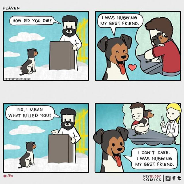 hugging my best friend dog comic - Heaven How Did You Die? I Was Hugging My Best Friend. HYUDOTCOMICS17010 No, I Mean What Killed You? I Don'T Care. I Was Hugging My Best Friend. # 36 Comics Oft