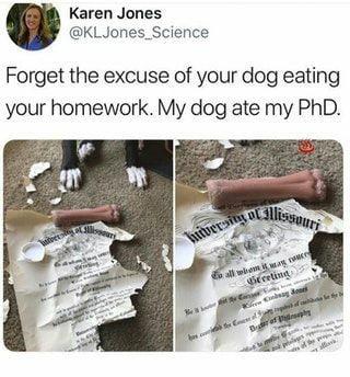 my dog ate my phd - Karen Jones Forget the excuse of your dog eating your homework. My dog ate my PhD. Lissuu wuversity of Call Dereint We