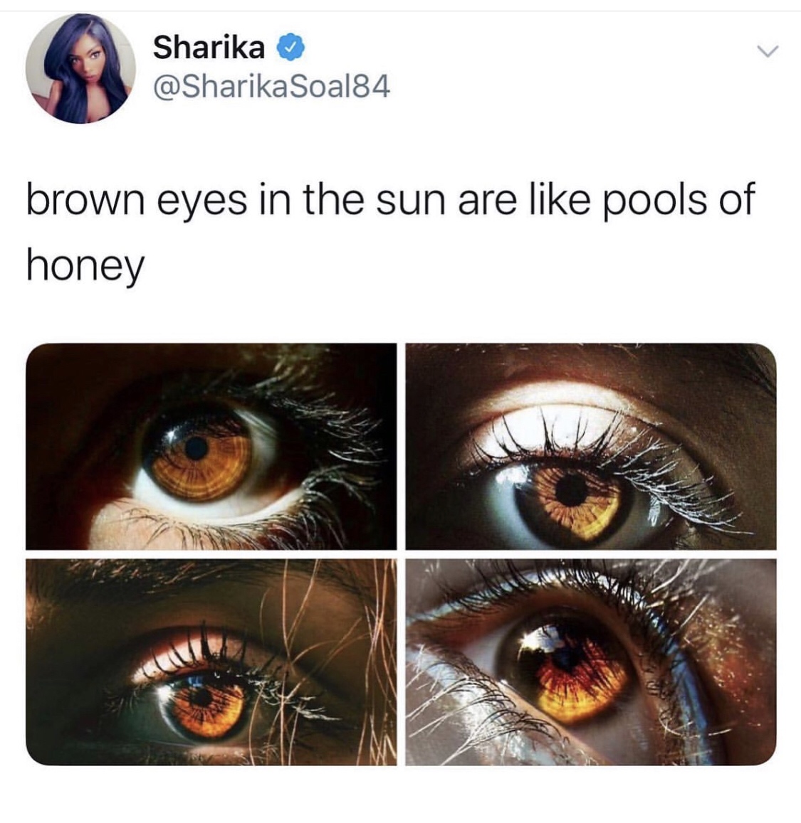 brown eyes meme - Sharika Soal84 brown eyes in the sun are pools of honey