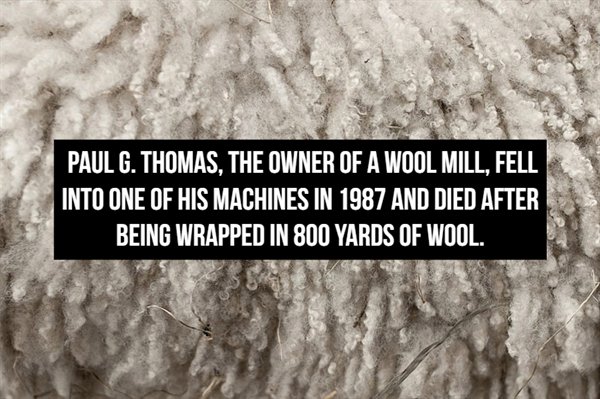 us army - Paul G. Thomas, The Owner Of A Wool Mill, Fell Into One Of His Machines In 1987 And Died After Being Wrapped In 800 Yards Of Wool.