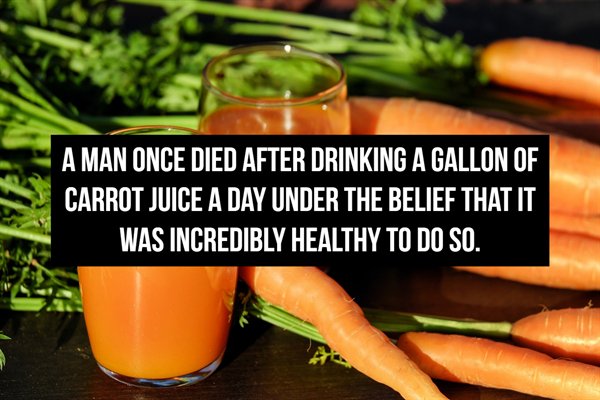 carrot free - A Man Once Died After Drinking A Gallon Of Carrot Juice A Day Under The Belief That It Was Incredibly Healthy To Do So.