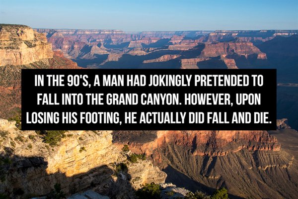 grand canyon - In The 90'S, A Man Had Jokingly Pretended To Fall Into The Grand Canyon. However, Upon Losing His Footing, He Actually Did Fall And Die.