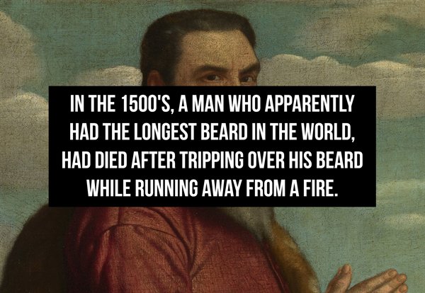 daily beast - In The 1500'S, A Man Who Apparently Had The Longest Beard In The World, Had Died After Tripping Over His Beard While Running Away From A Fire.