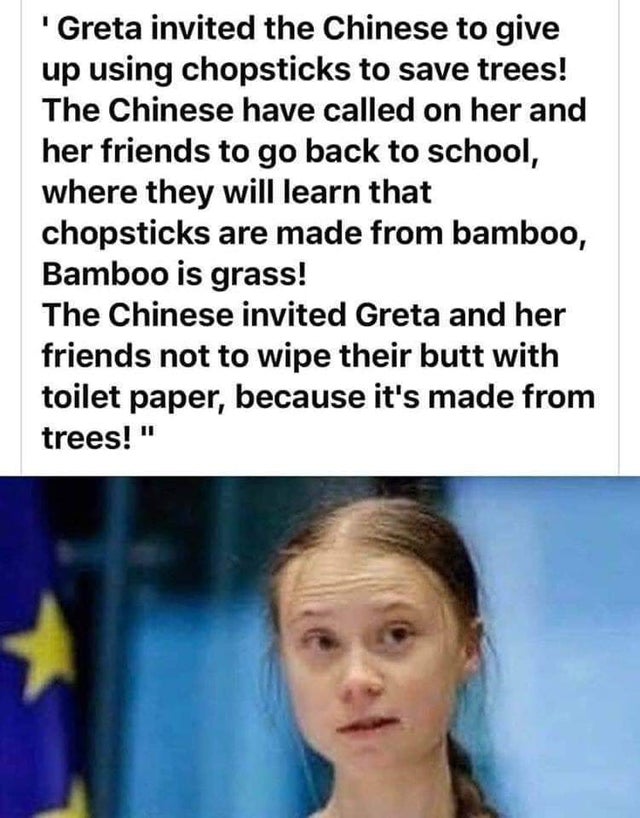 human behavior - Greta invited the Chinese to give up using chopsticks to save trees! The Chinese have called on her and her friends to go back to school, where they will learn that chopsticks are made from bamboo, Bamboo is grass! The Chinese invited Gre