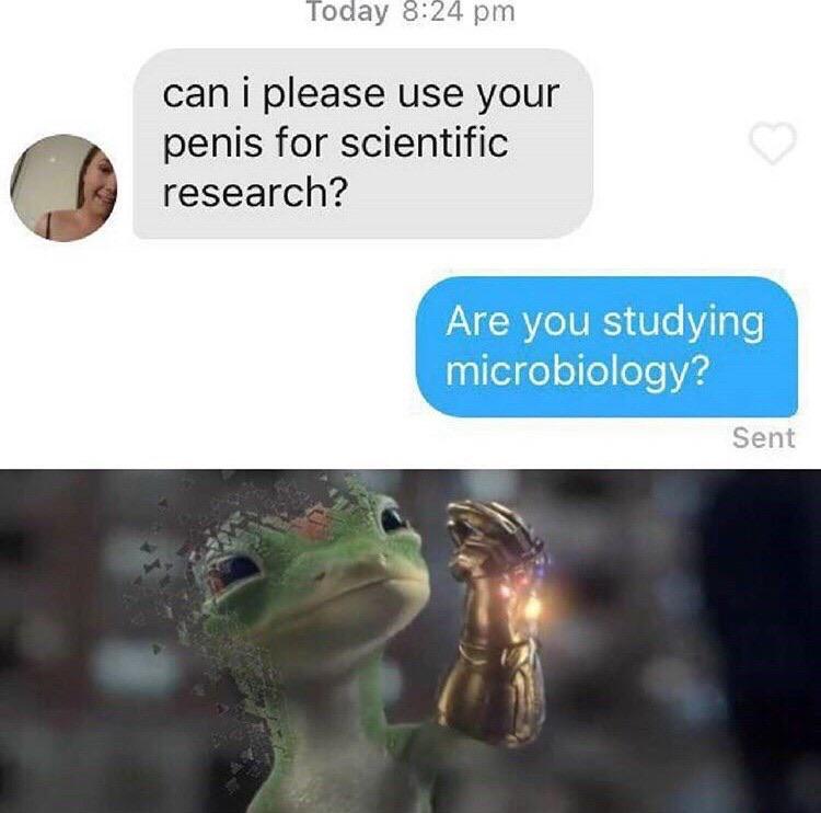 destruction 100 memes - Today can i please use your penis for scientific research? Are you studying microbiology? Sent
