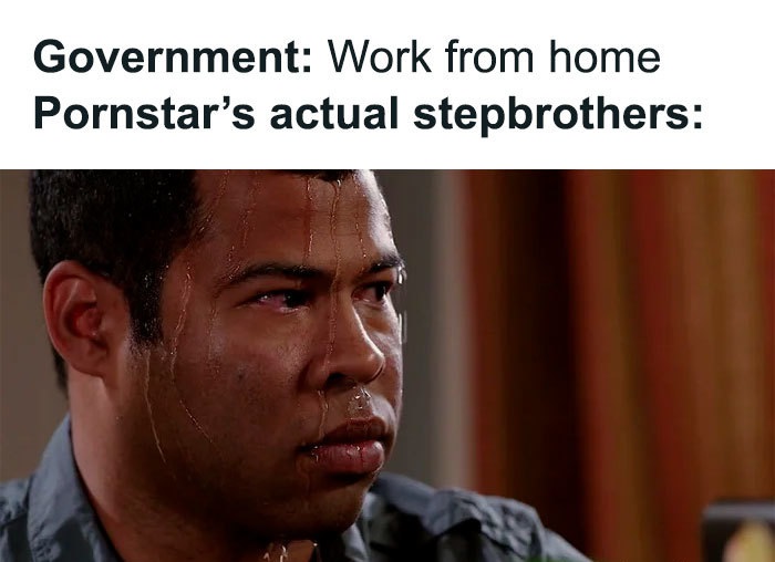 todd howard memes - Government Work from home Pornstar's actual stepbrothers