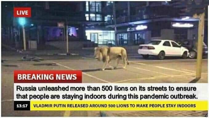fuck is playing jumanji - Live Breaking News Russia unleashed more than 500 lions on its streets to ensure that people are staying indoors during this pandemic outbreak. Vladmir Putin Released Around 500 Lions To Make People Stay Indoors