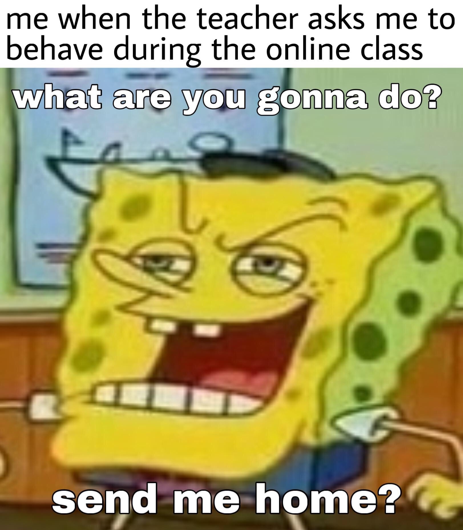 spongebob cursed - me when the teacher asks me to behave during the online class what are you gonna do? send me home?