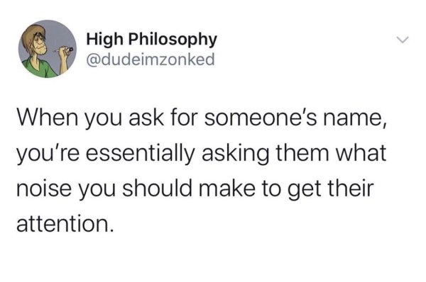 white people living the dream meme - High Philosophy When you ask for someone's name, you're essentially asking them what noise you should make to get their attention.