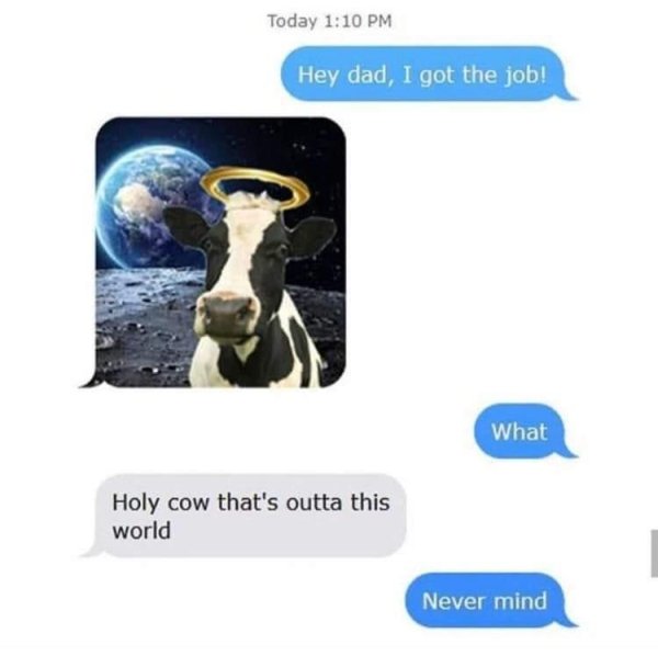 holy cow thats outta this world - Today Hey dad, I got the job! What Holy cow that's outta this world Never mind