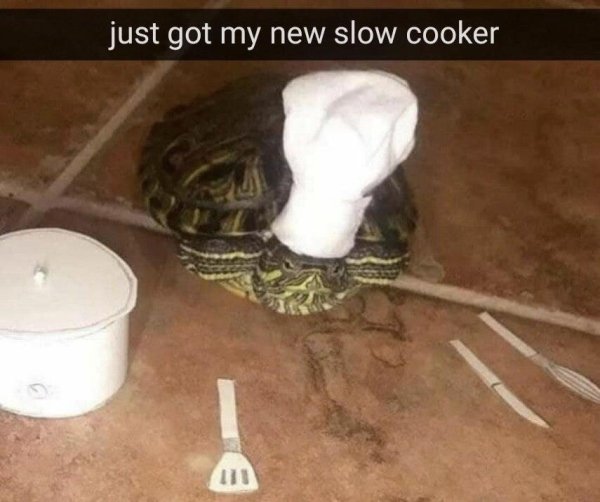 just got my new slow cooker - just got my new slow cooker