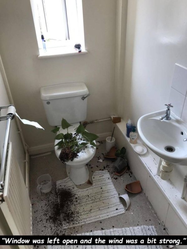 bathroom - "Window was left open and the wind was a bit strong." Port