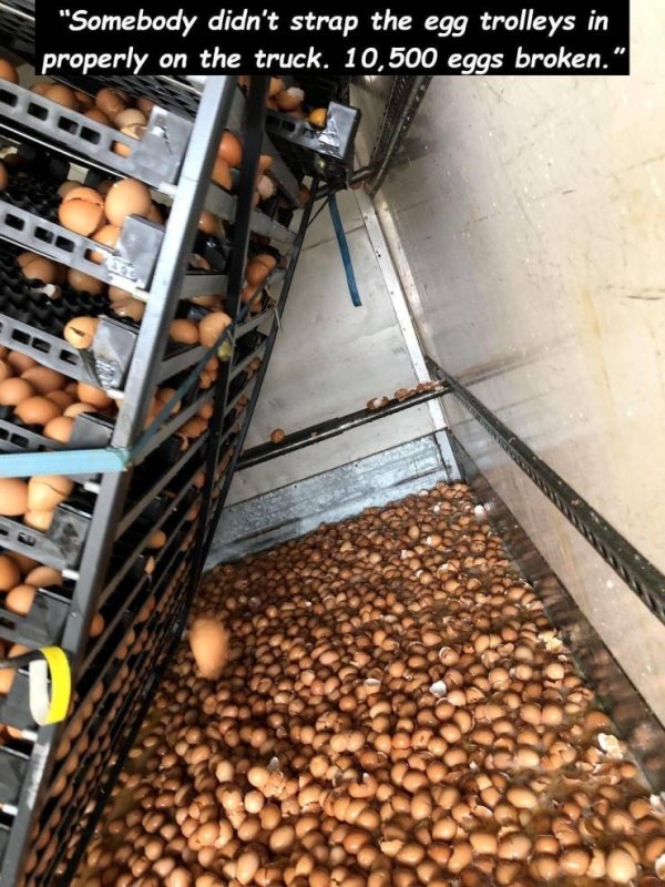 Truck - "Somebody didn't strap the egg trolleys in properly on the truck. 10,500 eggs broken."