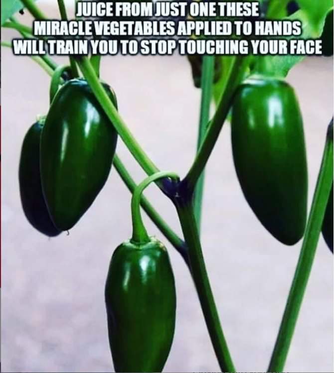 Jalapeño - Juice From Just One These Miracle Vegetables Applied To Hands Will Train You To Stop Touching Your Face