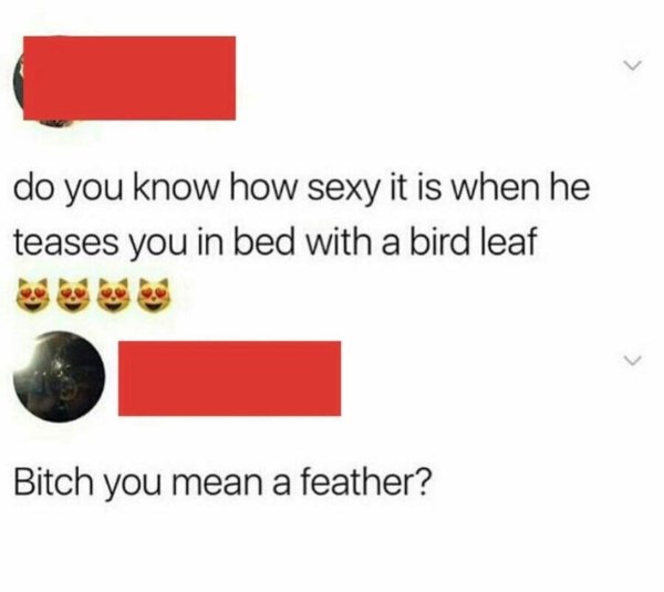 Humour - do you know how sexy it is when he teases you in bed with a bird leaf Bitch you mean a feather?