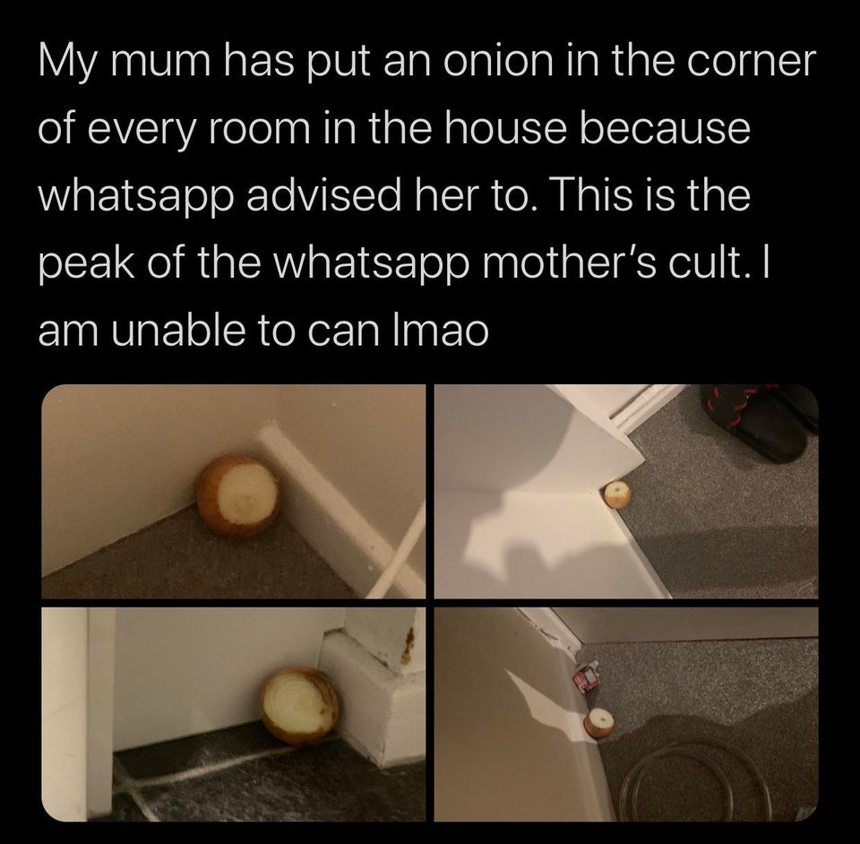 material - My mum has put an onion in the corner of every room in the house because whatsapp advised her to. This is the peak of the whatsapp mother's cult. I am unable to can Imao