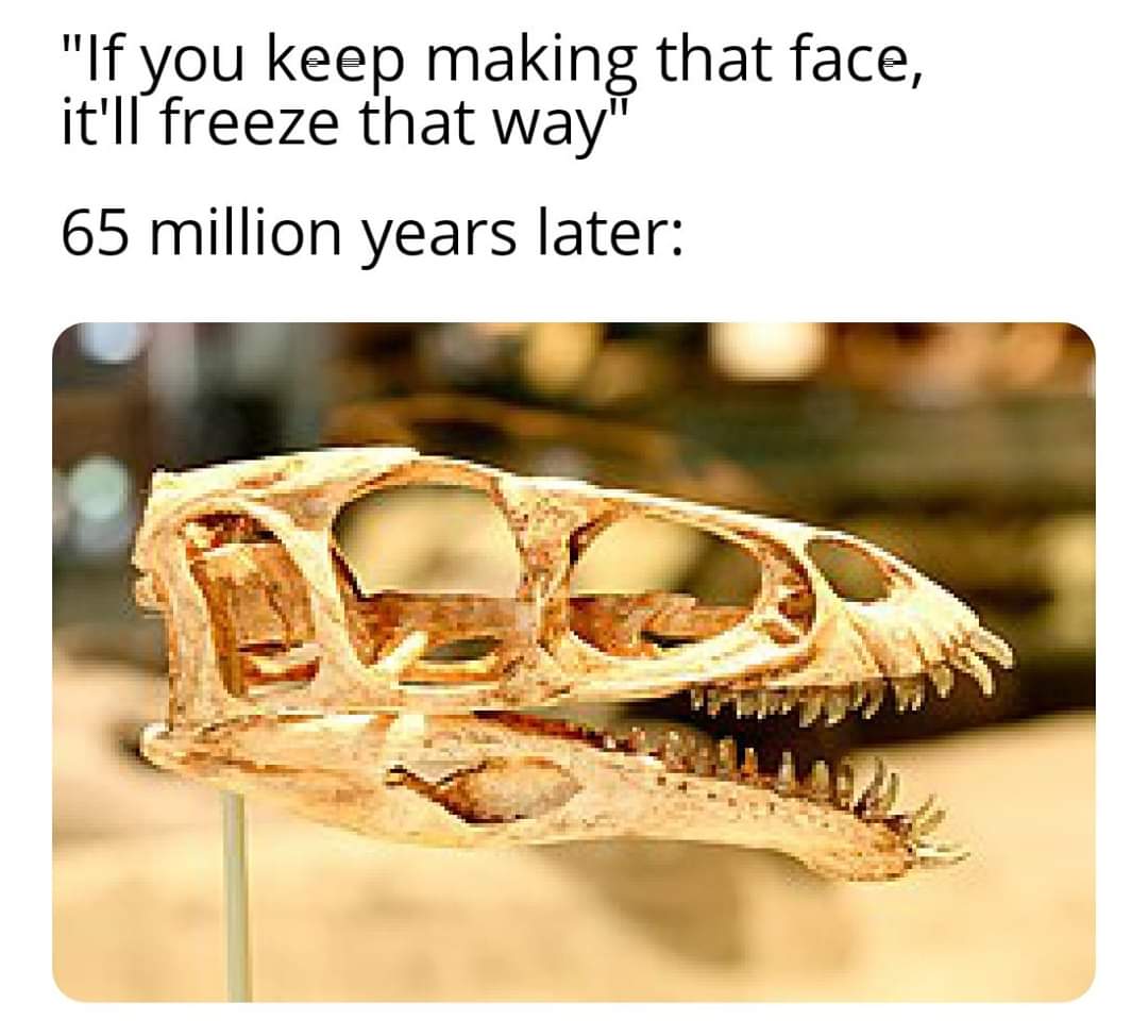 jaw - If you keep making that face, it'll freeze that way 65 million years later