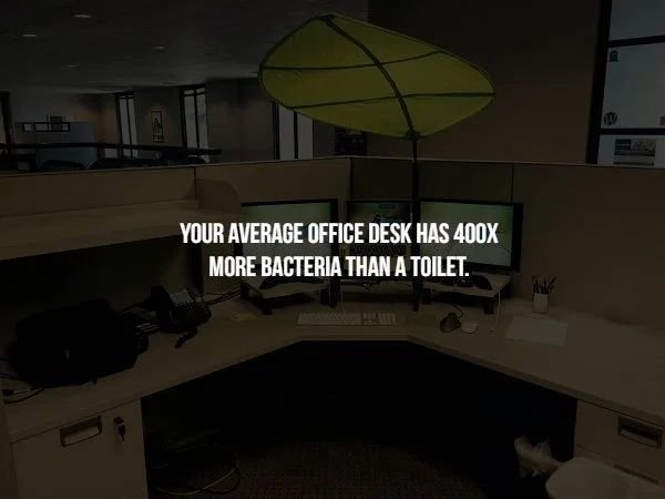 ikea leaf canopy office - Your Average Office Desk Has 400X More Bacteria Than A Toilet.