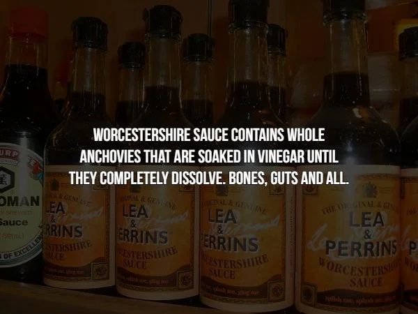 liqueur - Worcestershire Sauce Contains Whole Anchovies That Are Soaked In Vinegar Until They Completely Dissolve. Bones, Guts And All. Omane Lea Sauce Lea Lea Rrins Errins Errins Sestershire Perrins P Cestershit Worcestersho Sauce & De Bus Tershire Sauce