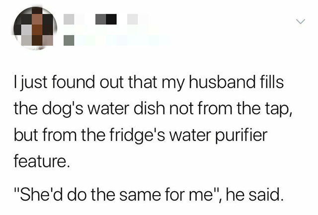 document - I just found out that my husband fills the dog's water dish not from the tap, but from the fridge's water purifier feature. "She'd do the same for me", he said.