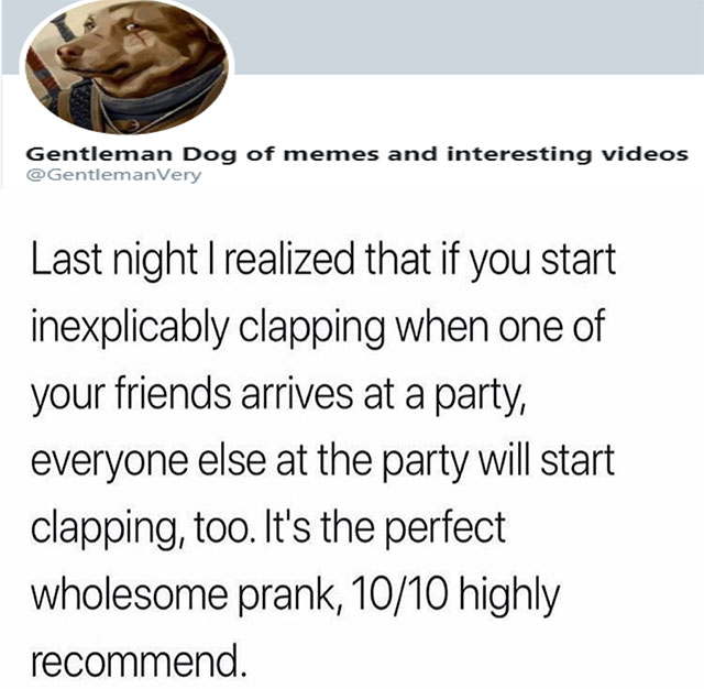 material - Gentleman Dog of memes and interesting videos Very Last night I realized that if you start inexplicably clapping when one of your friends arrives at a party, everyone else at the party will start clapping, too. It's the perfect wholesome prank,