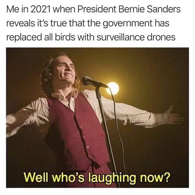 joker stand up - Me in 2021 when President Bernie Sanders reveals it's true that the government has replaced all birds with surveillance drones Well who's laughing now?
