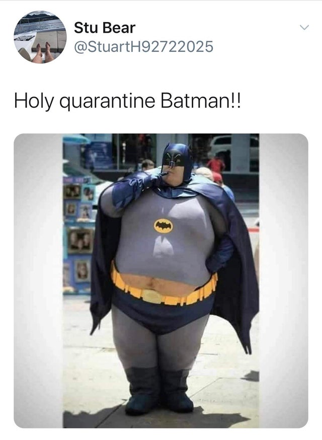 Stu Bear Holy quarantine Batman!!