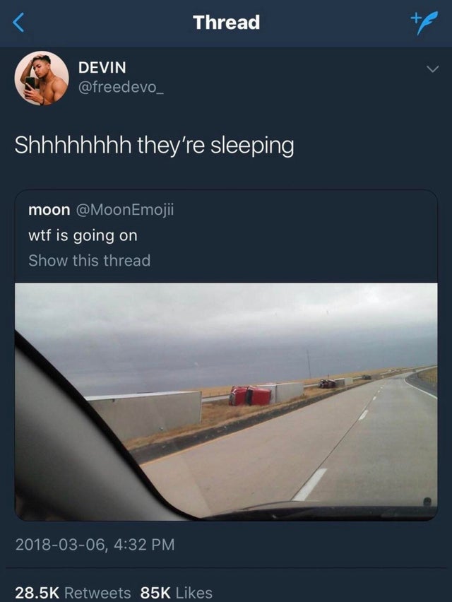 they look so peaceful when they re sleeping trucks - Thread Devin Shhhhhhhh they're sleeping moon wtf is going on Show this thread , 85K