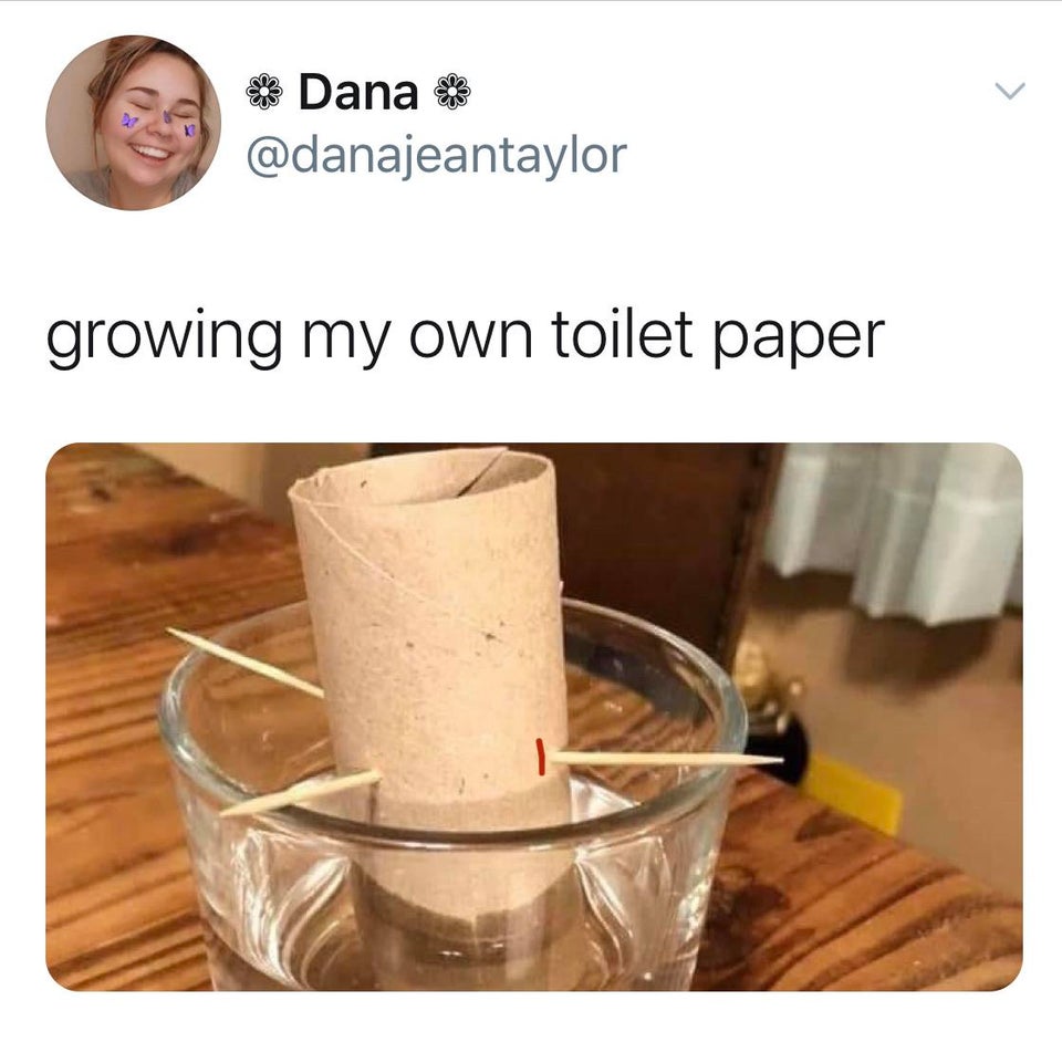 dairy product - Dana growing my own toilet paper