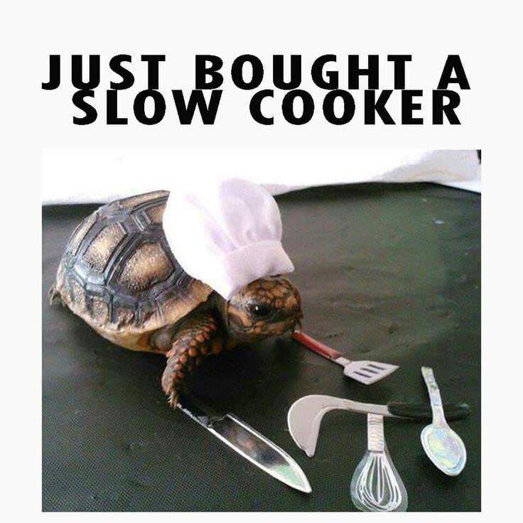 slow cooker turtle - Just Boughla Slow Cooker