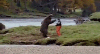 bear fighting with a man