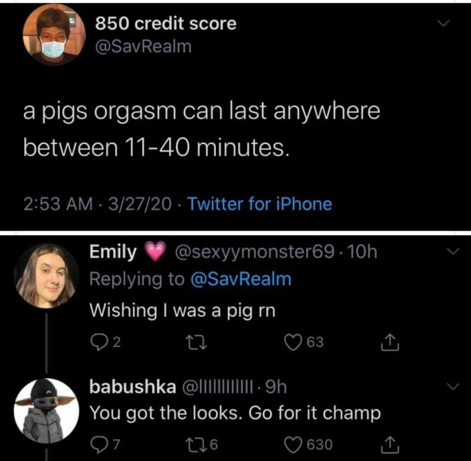 smartass comments - funny comments - screenshot - 850 credit score a pigs orgasm can last anywhere between 1140 minutes. 32720 Twitter for iPhone Emily .10h Wishing I was a pig rn Q2 C2 063 babushka @|||||9h You got the looks. Go for it champ Q7 226 630