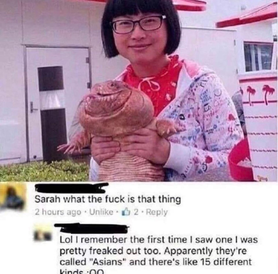 they re called asians meme - Sarah what the fuck is that thing 2 hours ago Un. 2. Lol I remember the first time I saw one I was pretty freaked out too. Apparently they're called "Asians" and there's 15 different kinds on