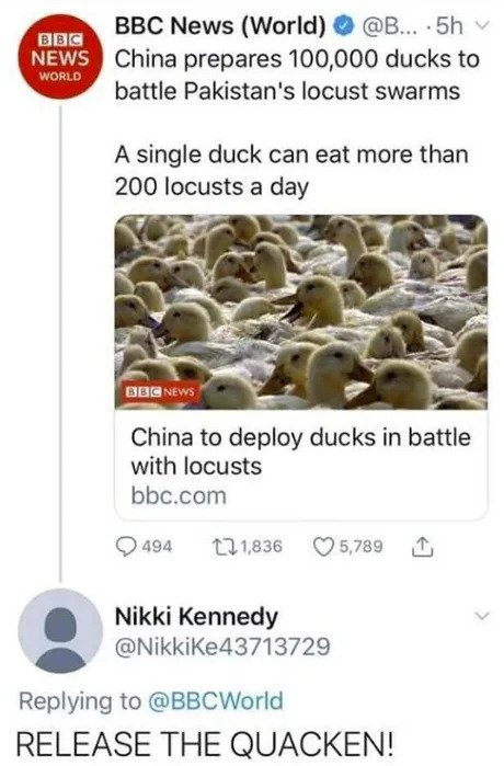 smartass comments - funny comments - coronavirus locust meme - Bbc News World Bbc News World ... 5hv China prepares 100,000 ducks to battle Pakistan's locust swarms A single duck can eat more than 200 locusts a day Bbc News China to deploy ducks in battle