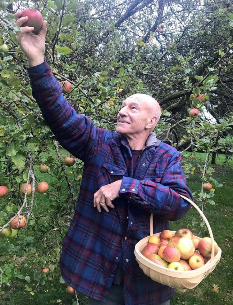 patrick stewart picking apples