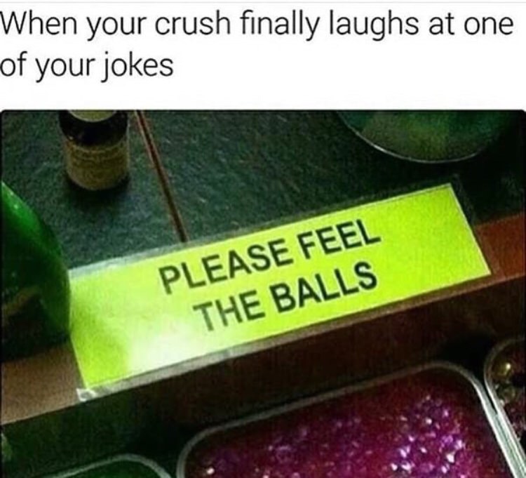 jokes for your crush - When your crush finally laughs at one of your jokes Please Feel The Balls