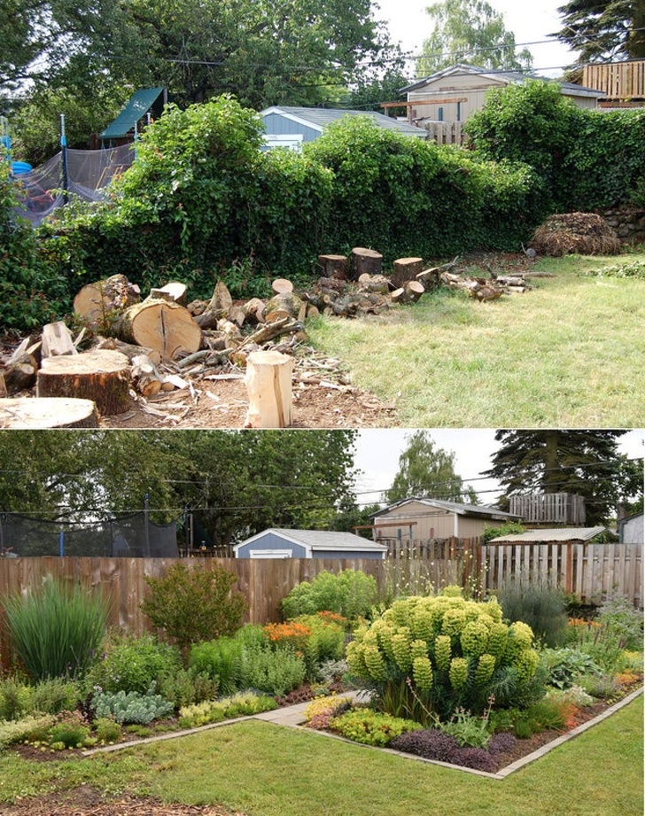 garden before and after - dirty garden vs beautiful and organized garden
