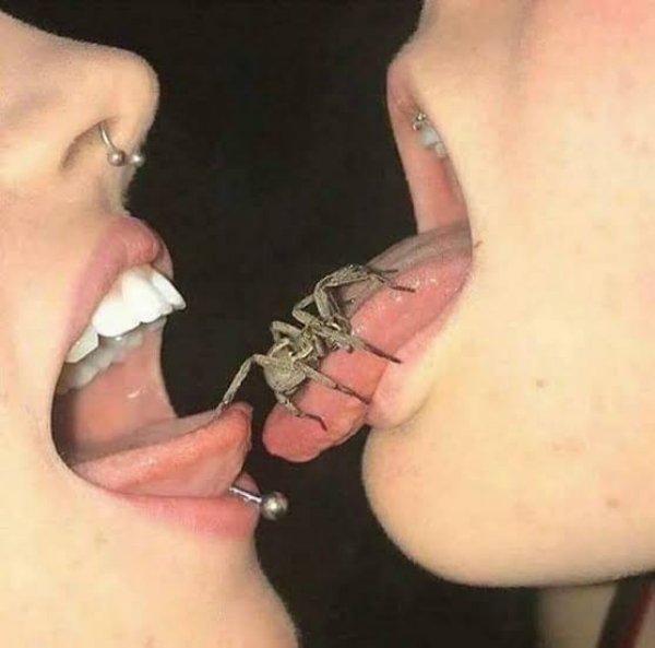 kissing cursed