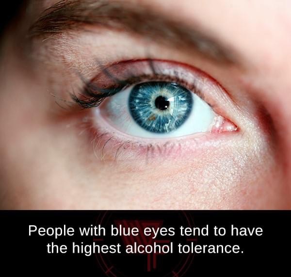 persons eye - People with blue eyes tend to have the highest alcohol tolerance.